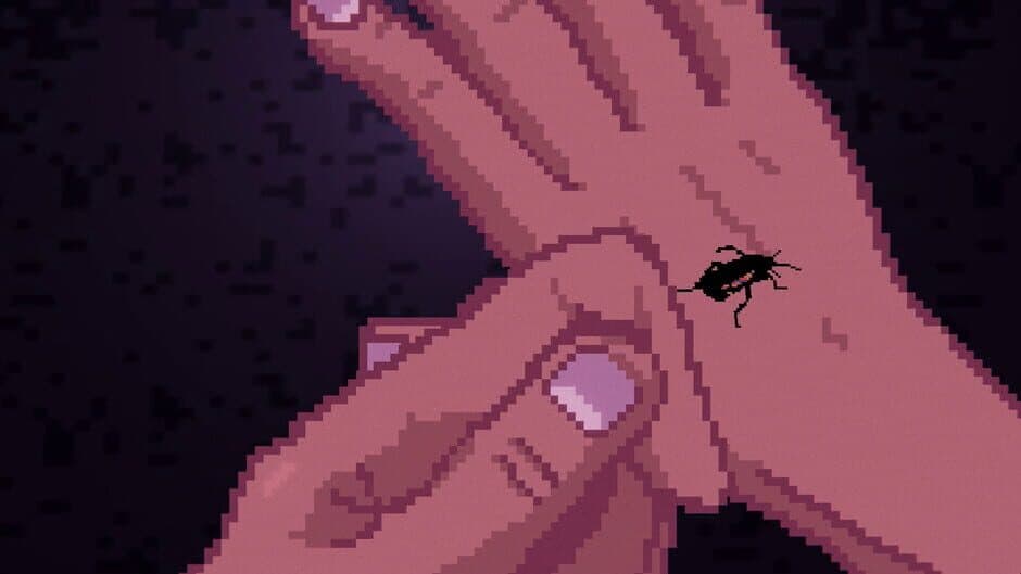 Divisadero screenshot