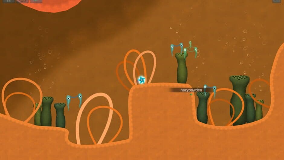Asteroidea screenshot