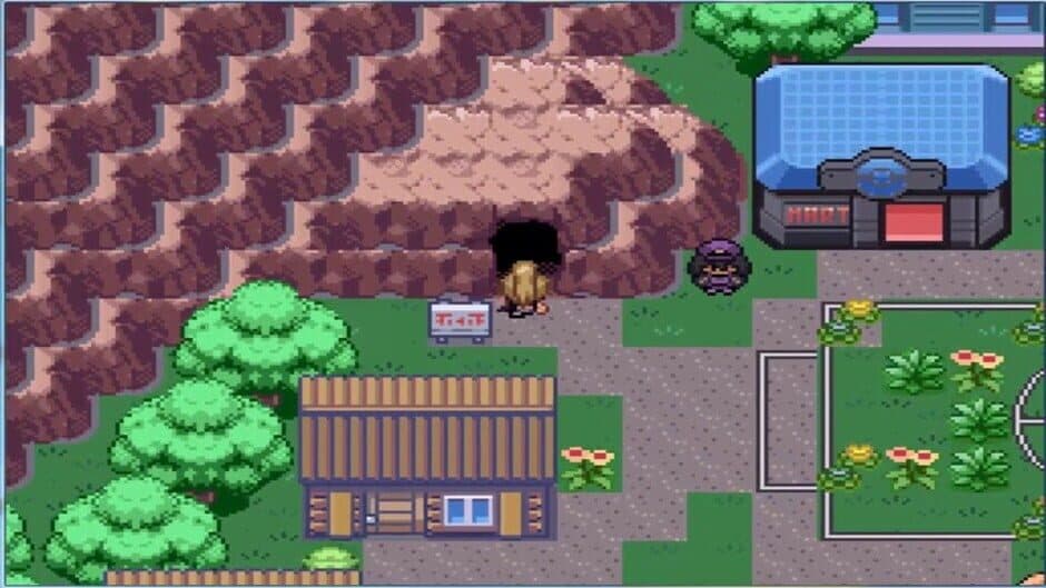 Pokémon Desolation screenshot