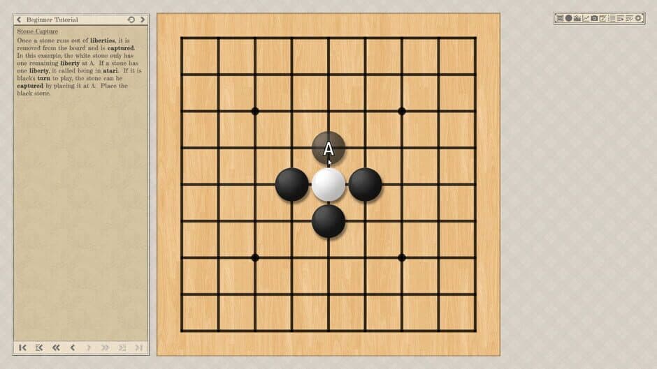 The Conquest of Go screenshot