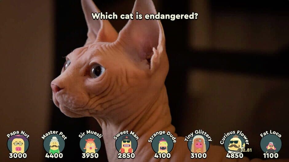 Papa's Quiz screenshot