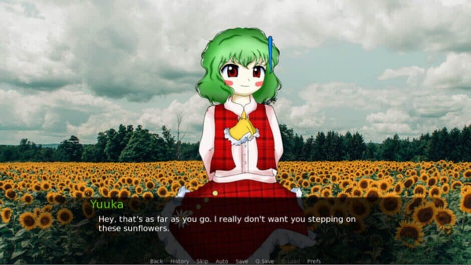 CBT With Yuuka Kazami screenshot