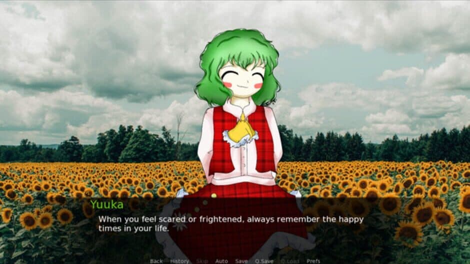 CBT With Yuuka Kazami screenshot
