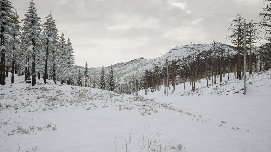 Erzurum screenshot