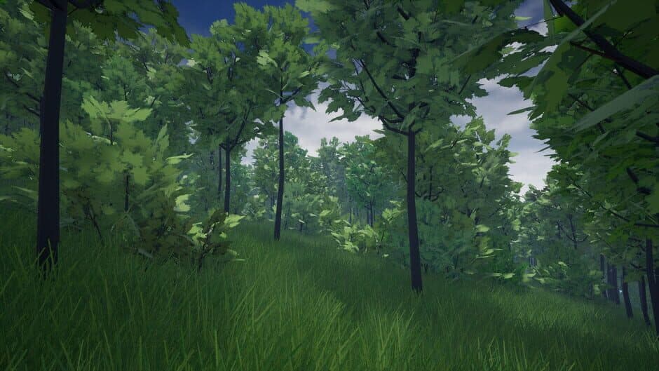 Hiis screenshot