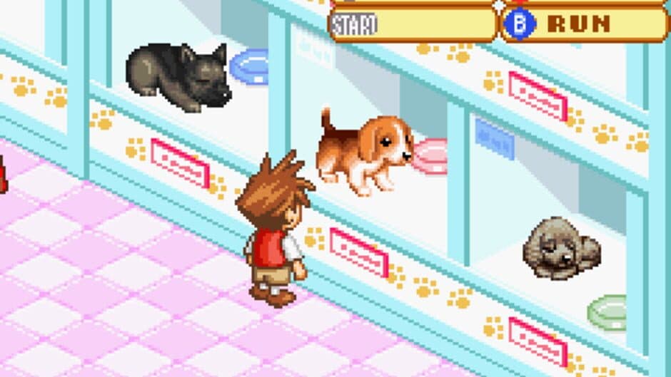 Dogz 2 screenshot