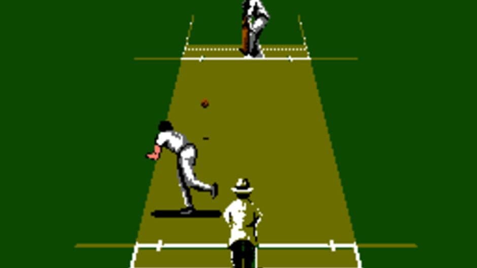 International Cricket screenshot