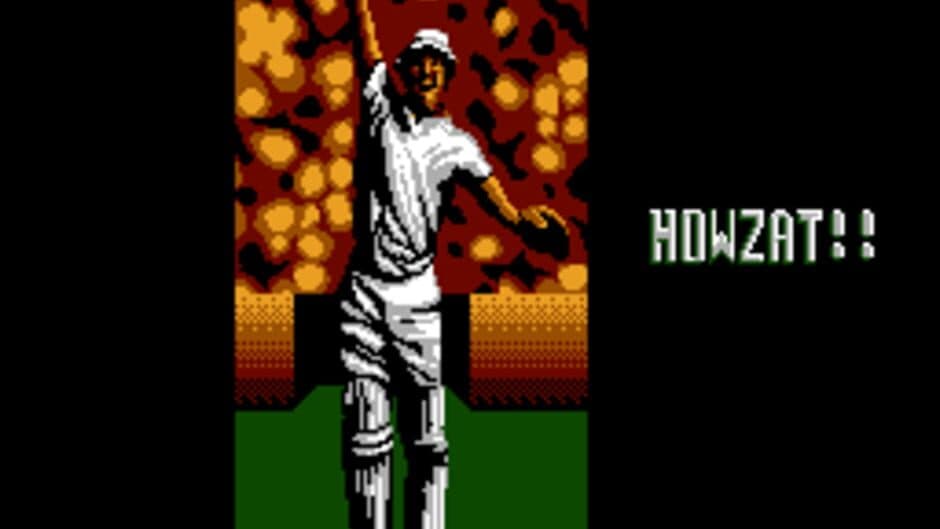 International Cricket screenshot