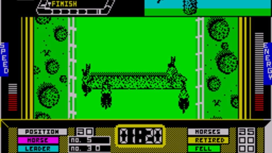 Grand National screenshot