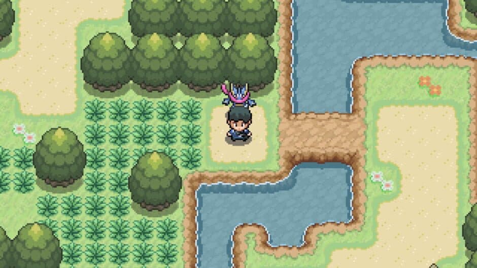 Pokémon Steam screenshot