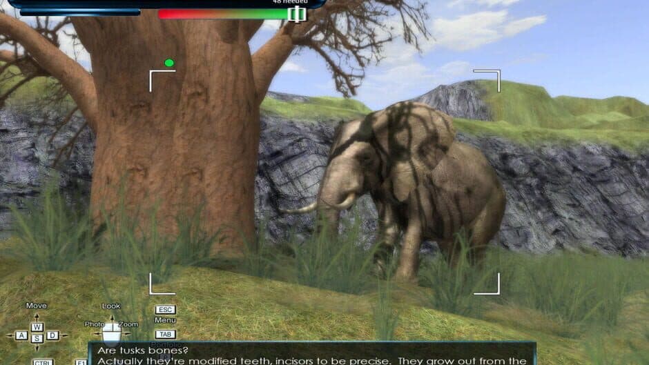 Safari Photo Africa: Wild Earth screenshot