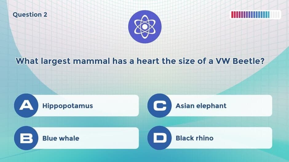 Knowledge Trainer: Trivia screenshot