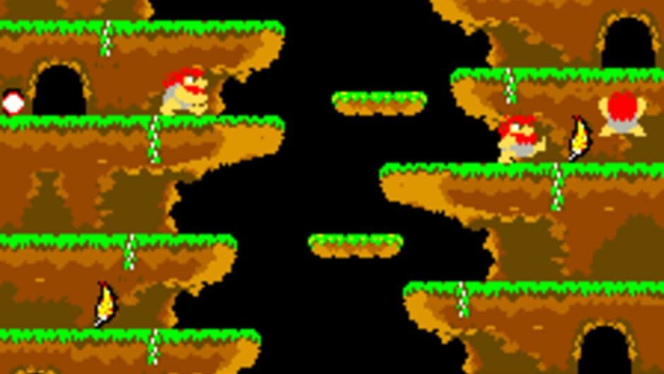 Roc 'N Rope screenshot