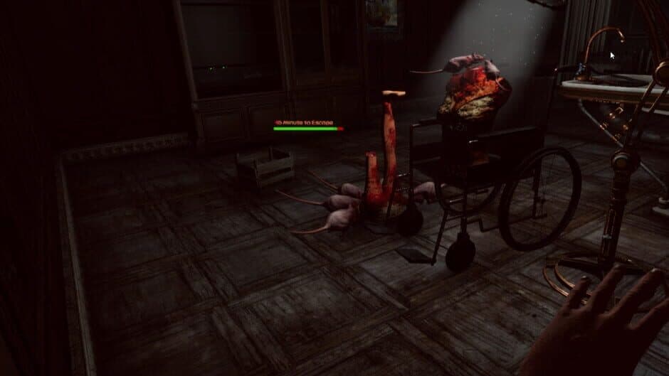 VR Mad Asylum screenshot