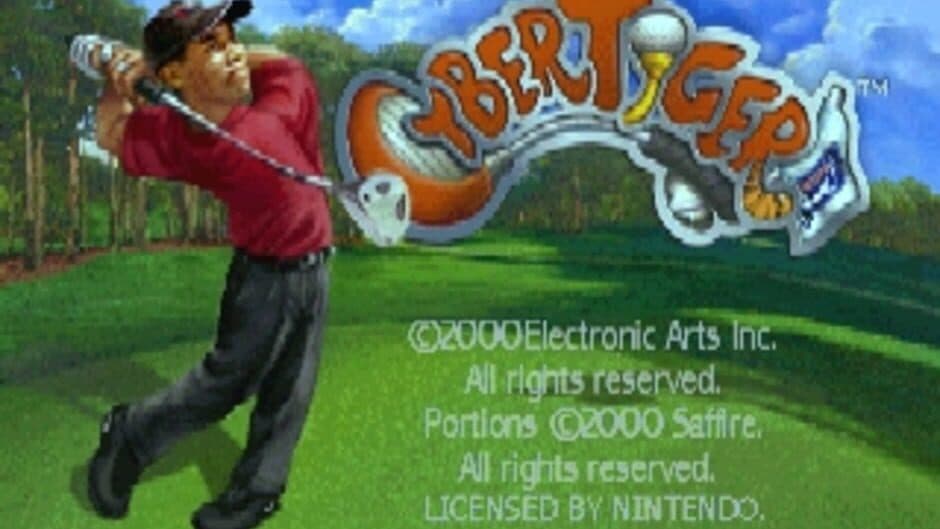 Cyber Tiger screenshot