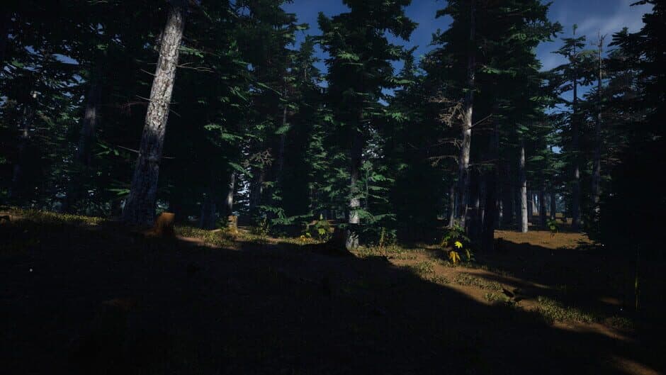 Mushroom Picker Simulator screenshot