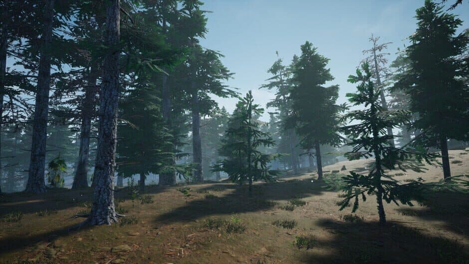 Mushroom Picker Simulator screenshot
