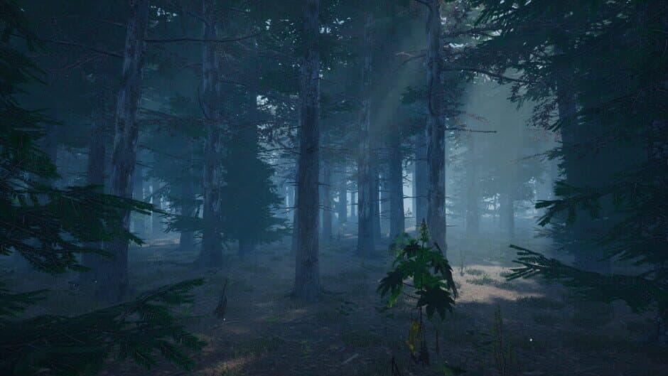 Mushroom Picker Simulator screenshot