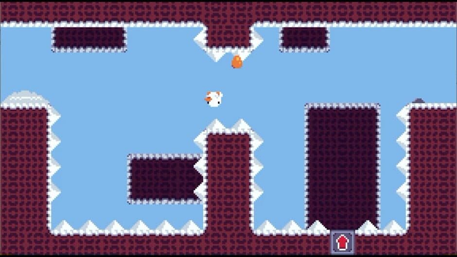 Anatidae screenshot