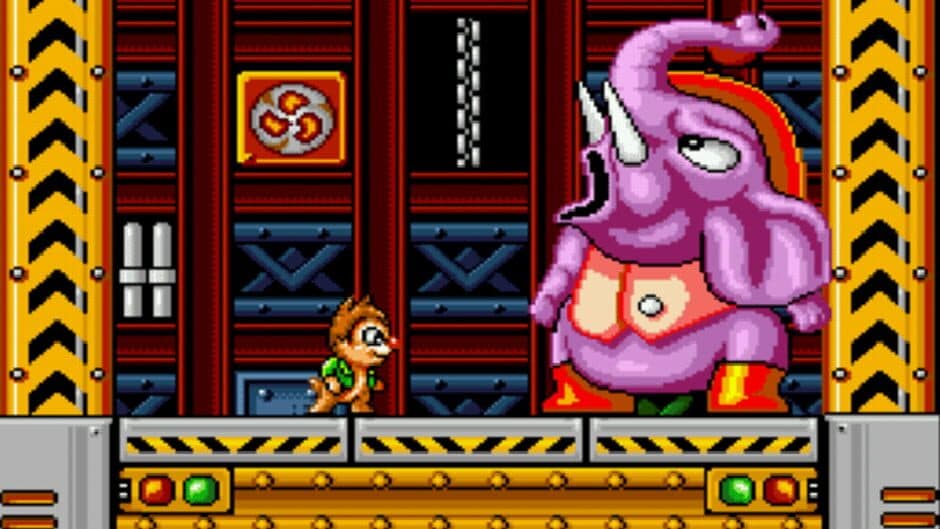 Squirrel King screenshot