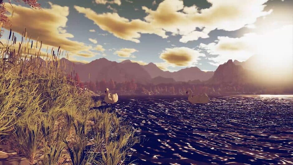 Instacalm VR screenshot