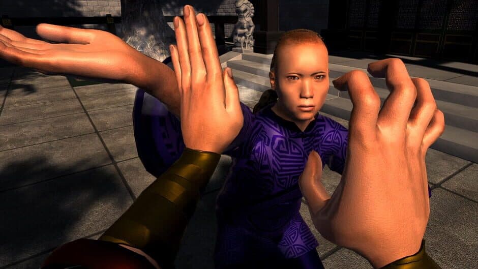 Dragon Fist: VR Kung Fu screenshot