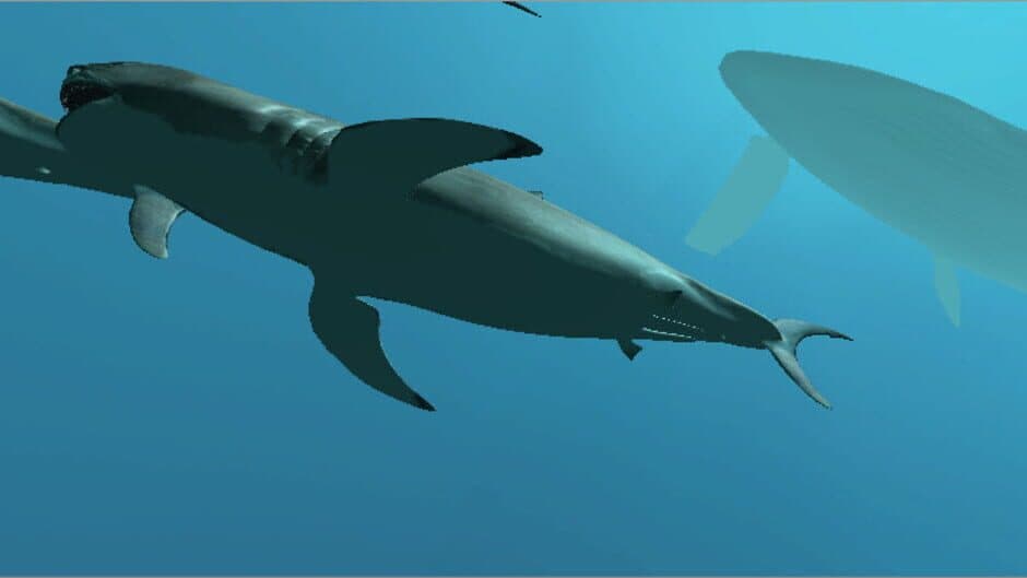VR Shark screenshot
