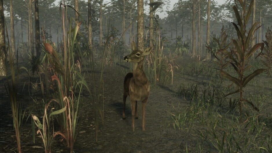 Pro Deer Hunting 2 screenshot