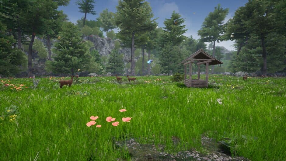 Horse Riding Deluxe 2 screenshot