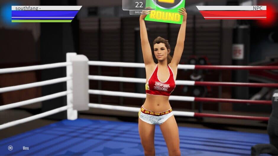 Cyber Fight Challenge screenshot
