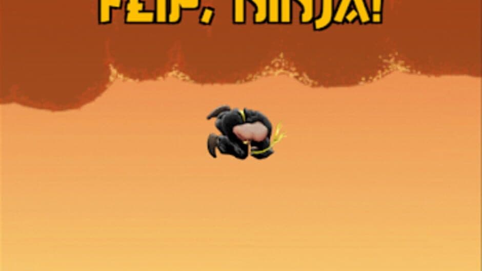 Flippin Ninjas screenshot