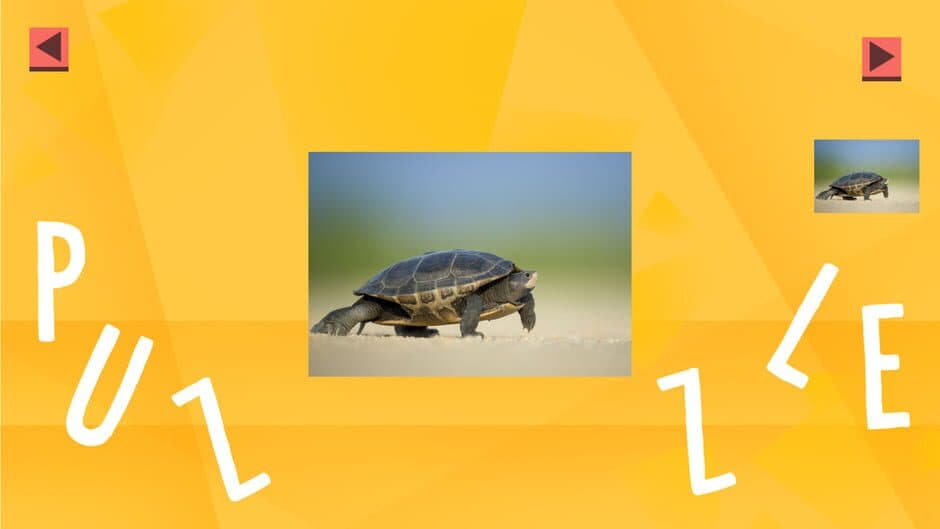 Game of Puzzles: Animals screenshot