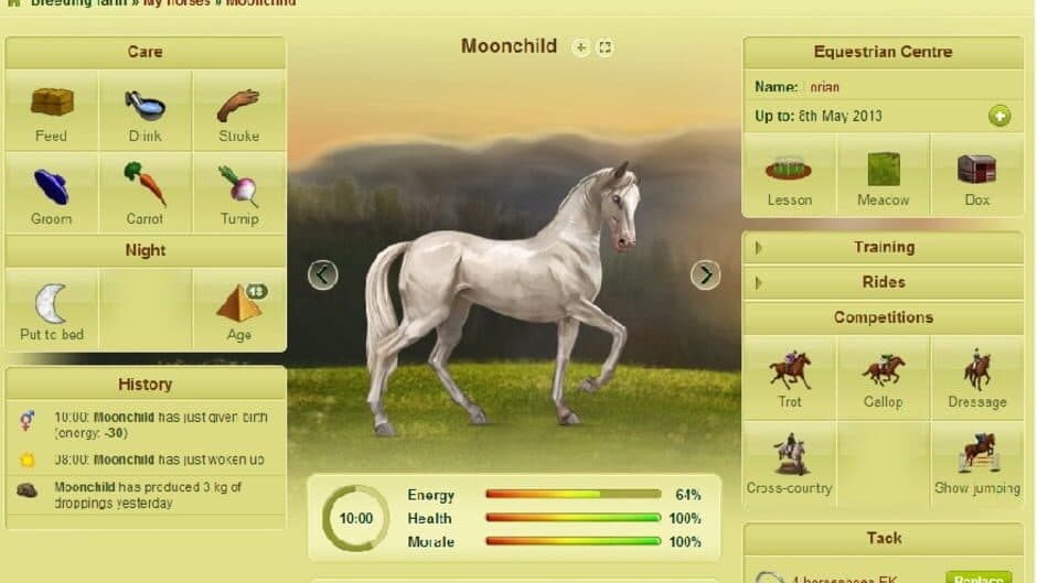 Howrse screenshot