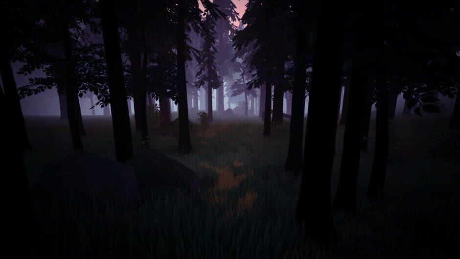 Radiolight screenshot
