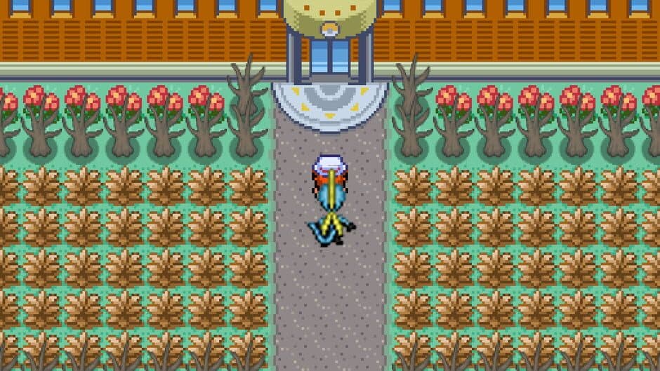 Pokémon Royal Version screenshot