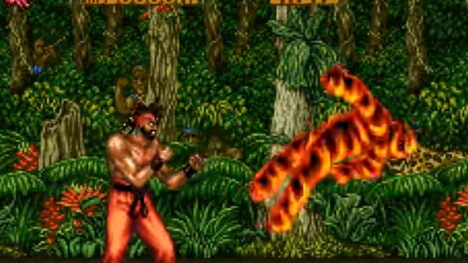 Fighter's History 2 screenshot