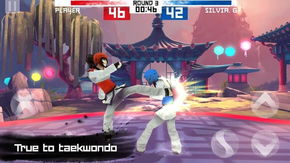 Taekwondo screenshot
