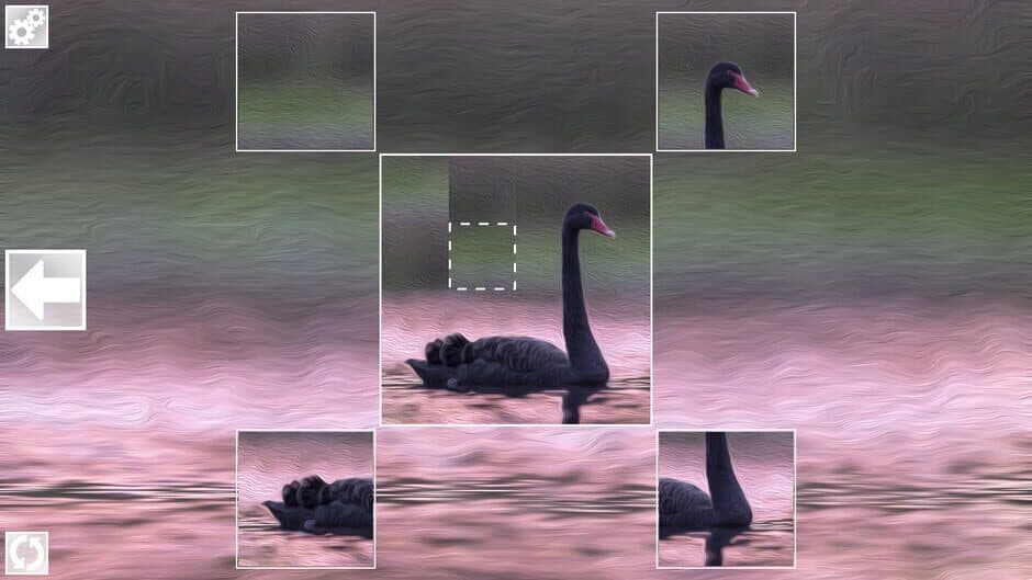 Puzzle Art: Birds screenshot