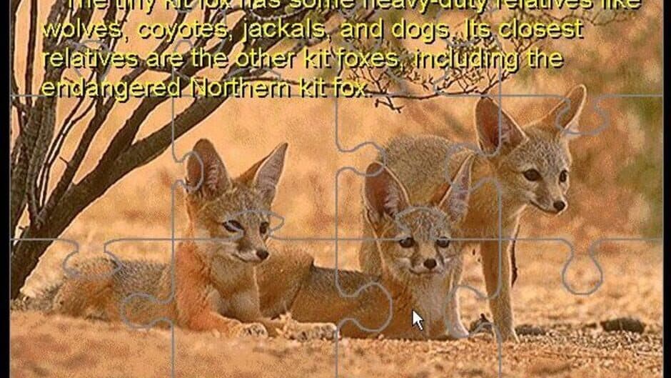 David Bellamy's Endangered Wildlife screenshot