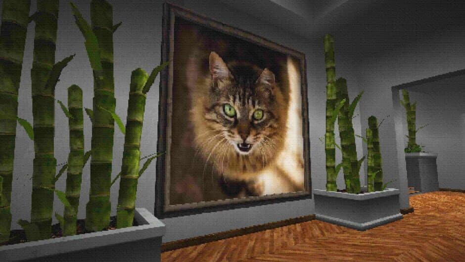 The Anything Gallery screenshot