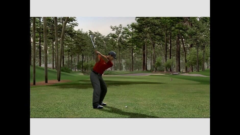 Tiger Woods PGA Tour 06 screenshot