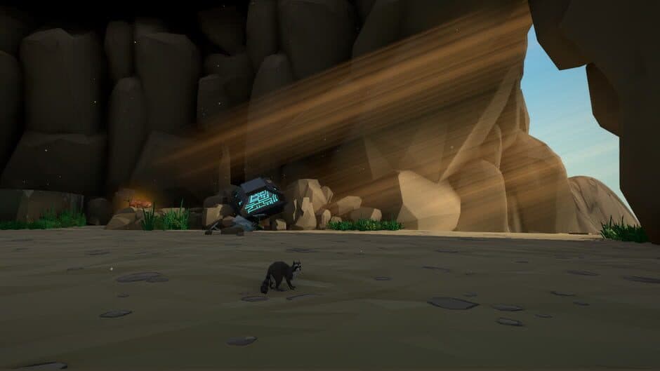 Wild Shape screenshot