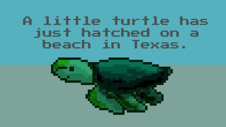 A Little Turtle Has Just Hatched on a Beach in Texas. screenshot