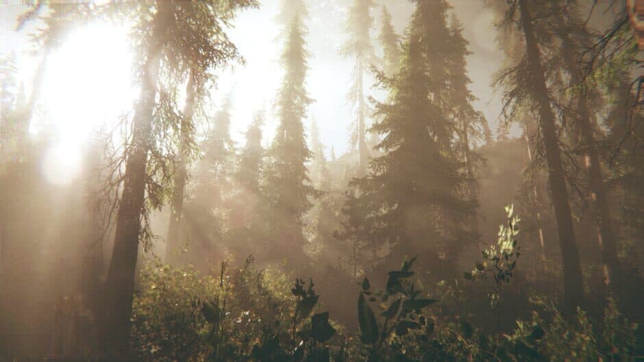 Rot: Purgatory Hill screenshot