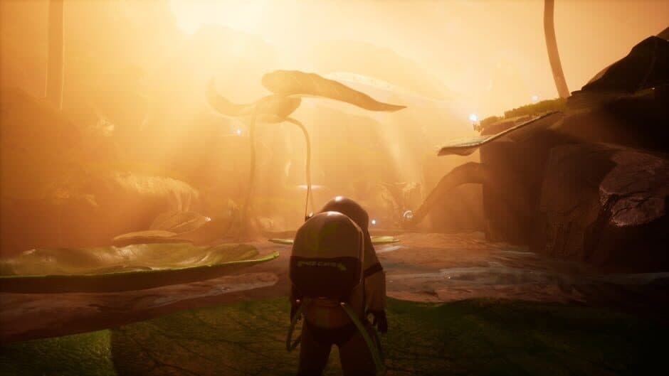 Planted screenshot