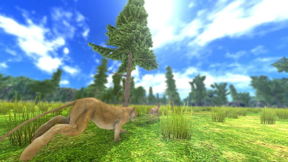 Ashore screenshot