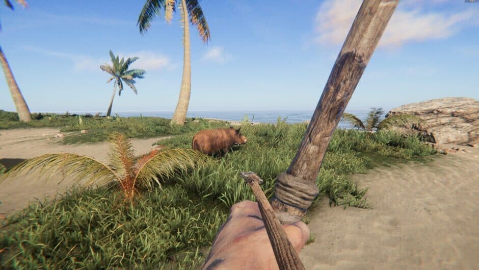 Project Castaway screenshot