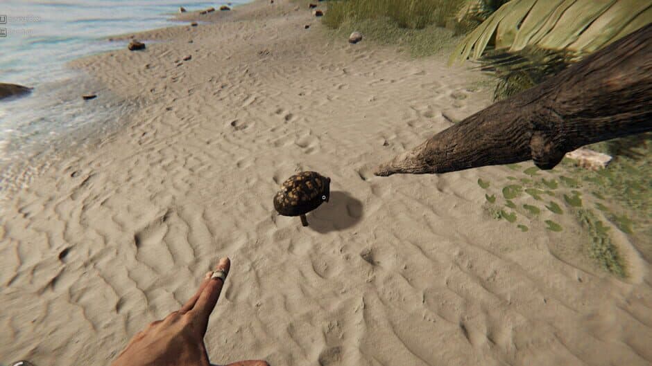 Project Castaway screenshot