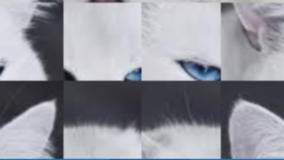 Meong Puzzel screenshot