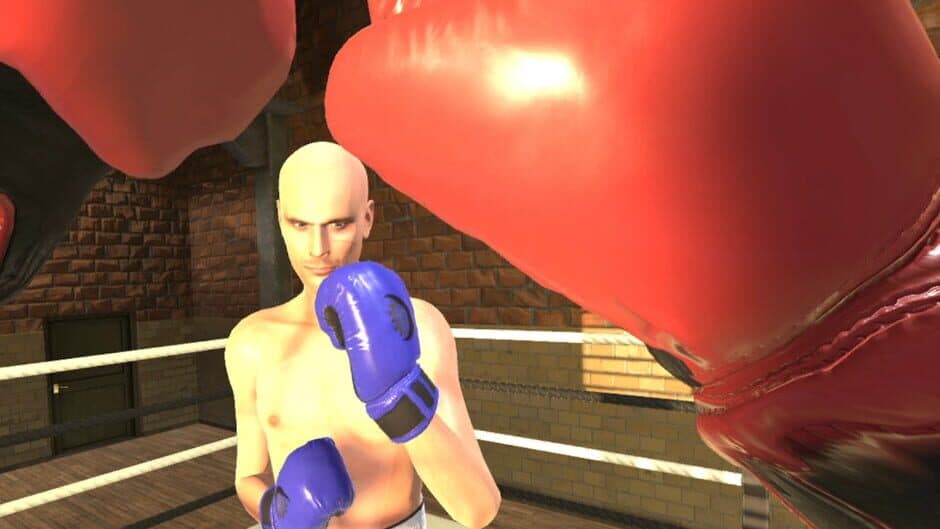 Era of Combat: Boxing screenshot